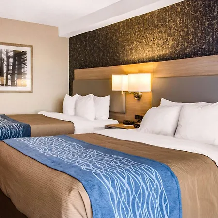 Comfort Inn Aeroport-3